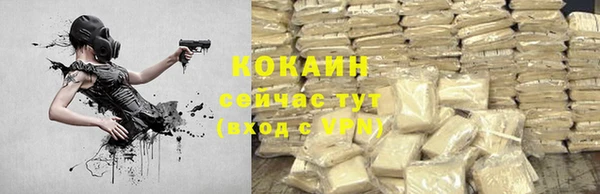 тгк Абаза