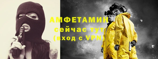 шишки Мегион