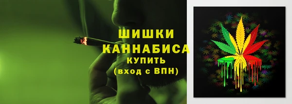 шишки Мегион