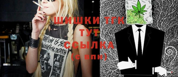 тгк Абаза